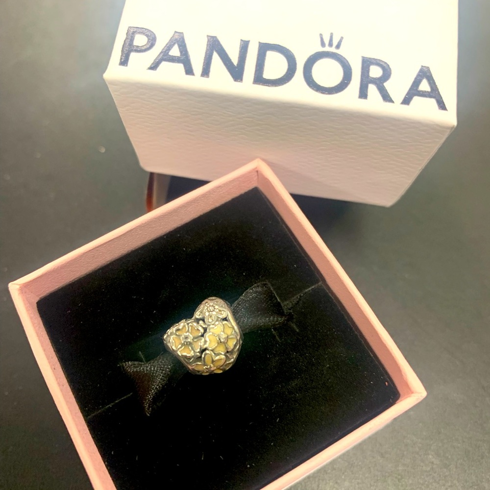 Gently worn shiny Pandora charm in box